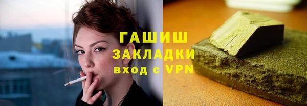 молекула духа Вяземский